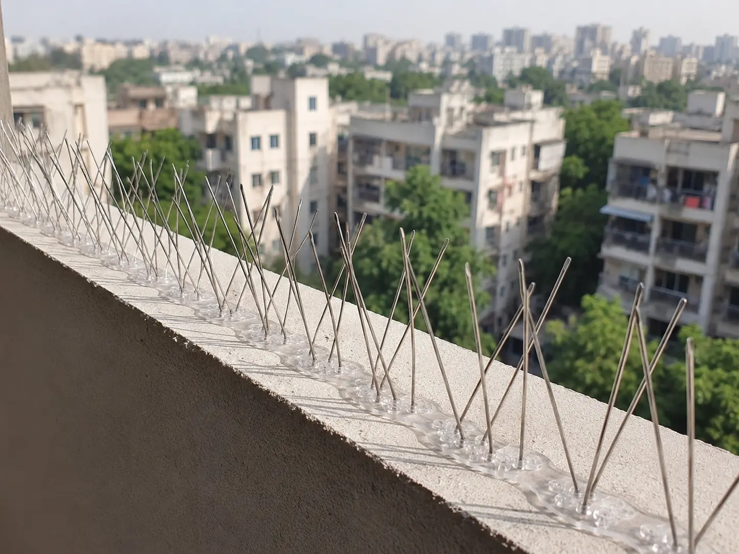 Bird protection spikes on building ledge